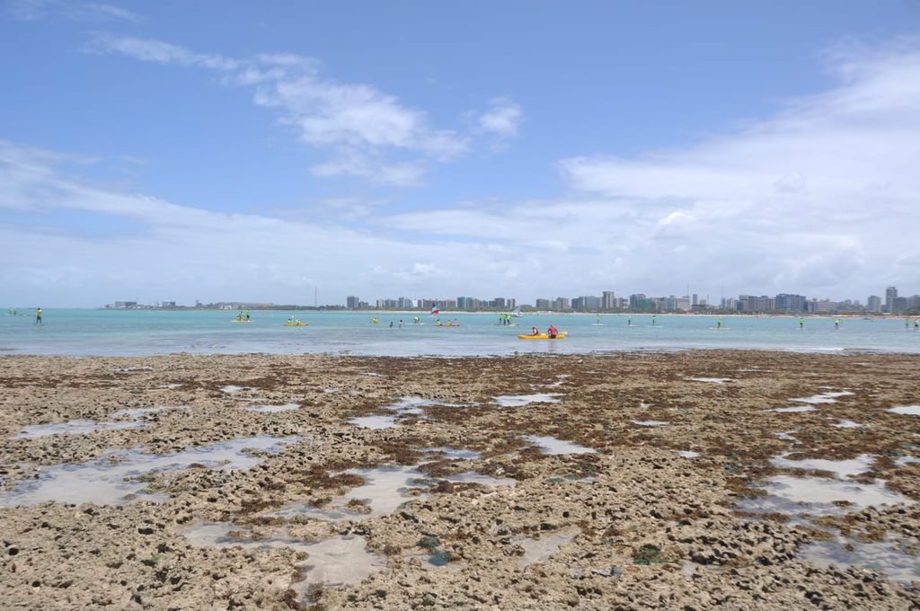 Pessoas em águas rasas entre superfícies recifais de Ponta Verde, com edifícios de Maceió ao fundo. Ilustrando artigo Piscinas naturais de Maceió: por que dependem da maré?