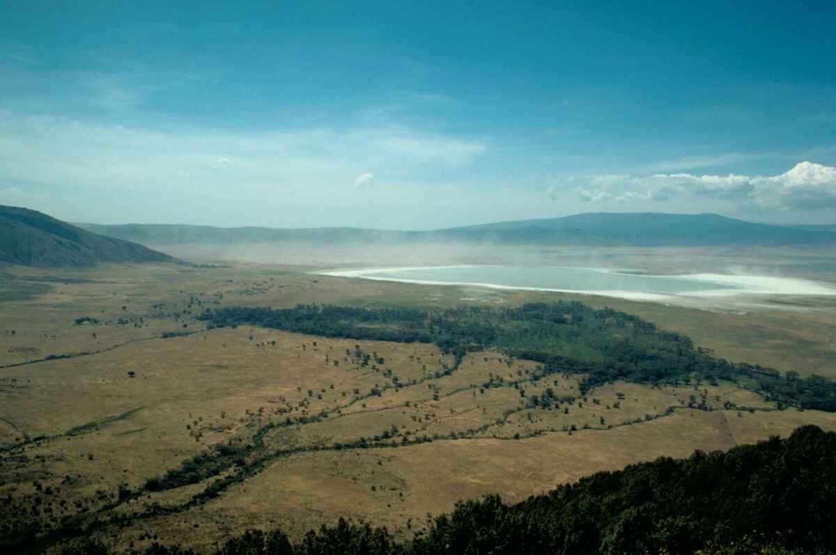 Vista elevada do fundo de Ngorongoro, com áreas abertas, vegetação arborizada, superfície aquática e encostas ao fundo. Ilustrando artigo Cratera de Ngorongoro: por que reúne tantos animais?