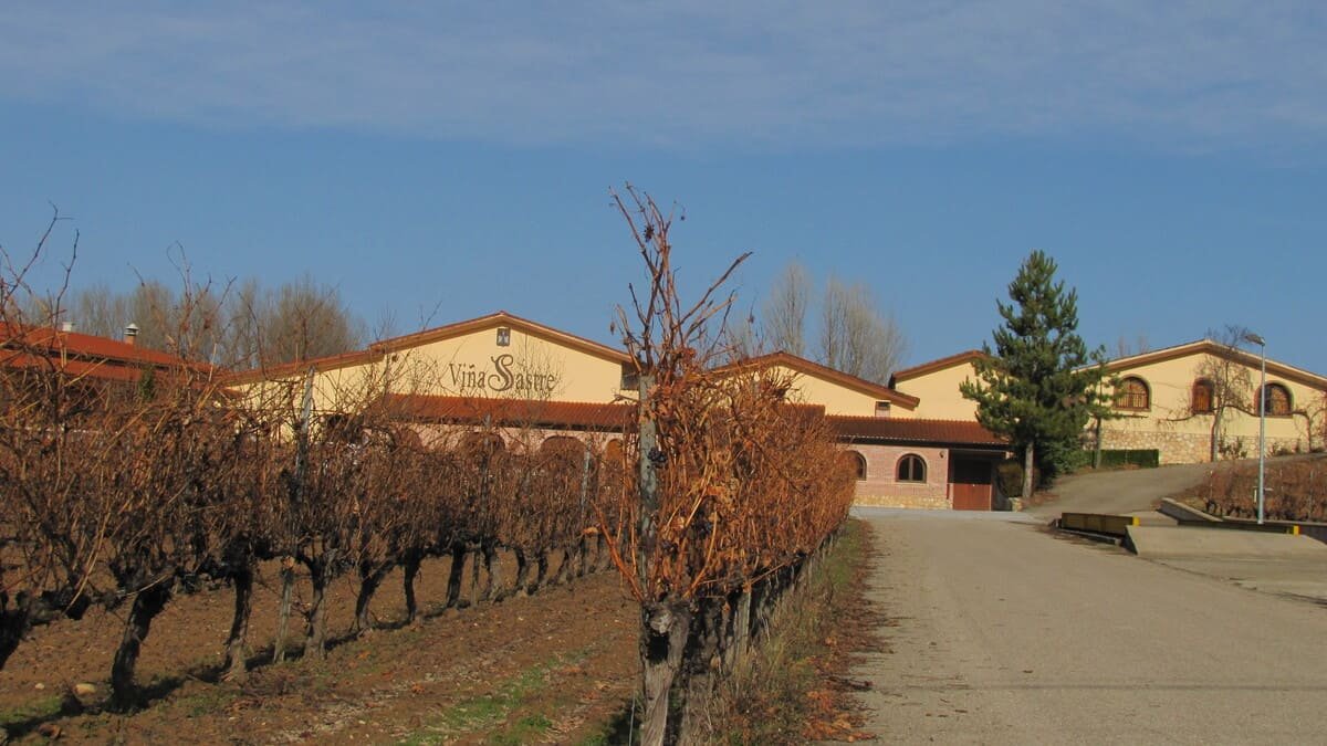 Fileiras de videiras sem folhas, com construções ao fundo, na propriedade Viña Sastre em La Horra, Espanha. Ilustrativo ao artigo Produção de vinho: por que mais vinhedos não bastam?