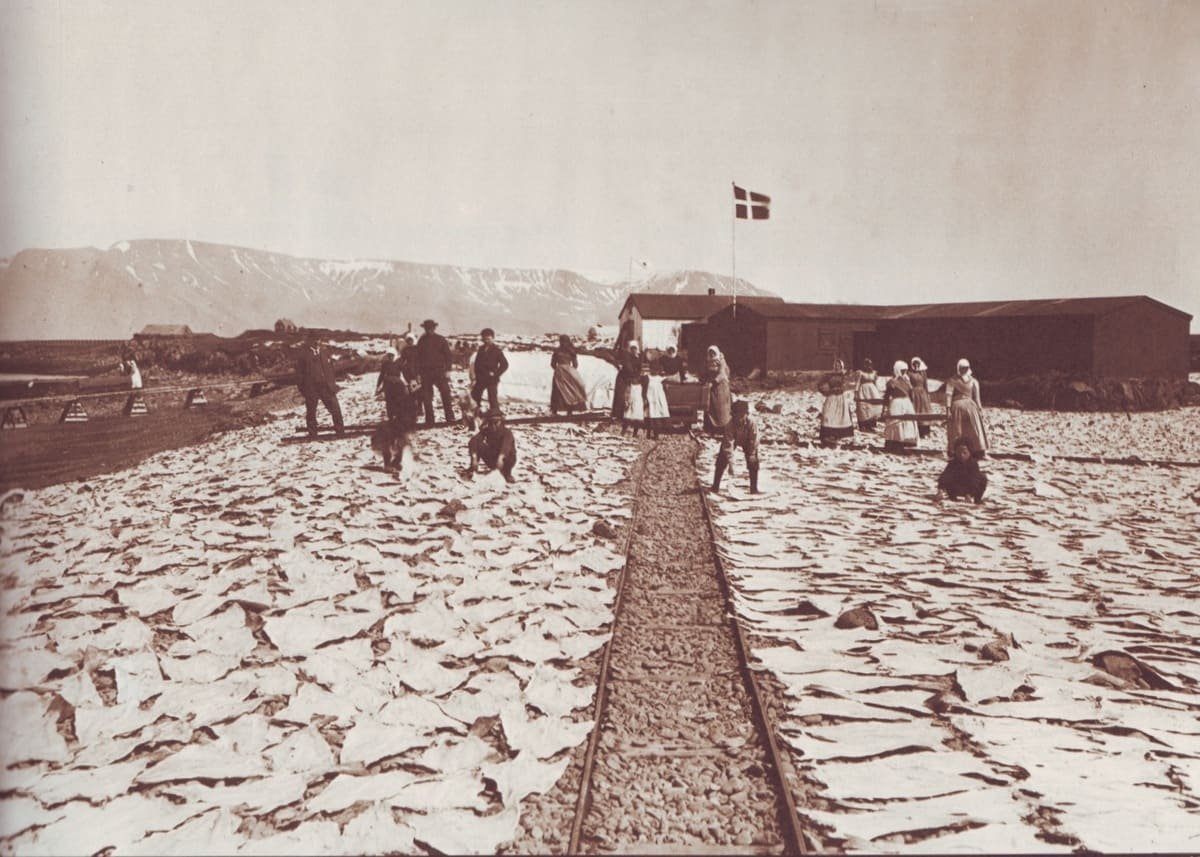 Secagem de bacalhau salgado em Kirkjusandur, na Islândia, em fotografia anterior a 1898.
