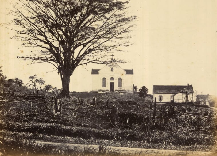 Fotografia da Colônia Dona Francisca em 1866, com edificações, uma árvore e terreno com vegetação cortada. Ilustrativo ao artigo O mapa da Colônia Dona Francisca de 1860: o que ele revela?